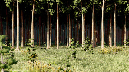 Realistic CGI render edge of pine forest. Environmental problems concept visualization. Nature background wallpapers. Horizontal banner design tamplate. Place for text, copy space.