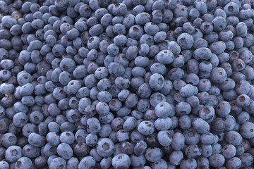 Blueberry, the smell of the forest, the background ...