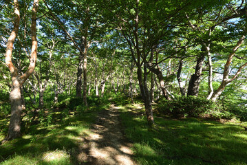 Mountain climbing in summer season