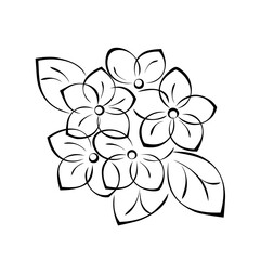 ornament 2360. several blooming stylized flowers with large petals and leaves. graphic decor