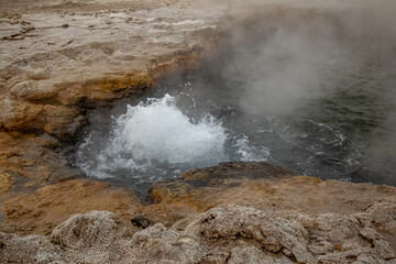 Desert
Chile
El tatio
Gaizer
Water
Agua
Vapor
Atacama
Calama