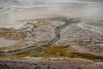 Desert
Chile
El tatio
Gaizer
Water
Agua
Vapor
Atacama
Calama