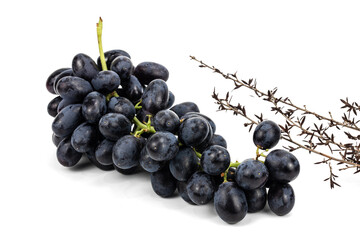 Blackberry isolated in white background, studio lighting, macro detailing, negative space for copy