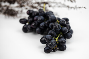 Black Grapes isolated in white background; water drops; studio lighting; macro detailing, negative space for copy