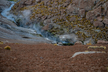 Desert
Chile
El tatio
Gaizer
Water
Agua
Vapor
Atacama
Calama