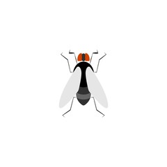 fly vector icon illustration design