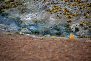 Desert
Chile
El tatio
Gaizer
Water
Agua
Vapor
Atacama
Calama