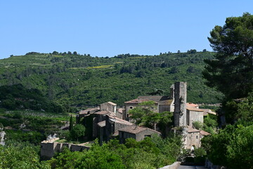 Fototapeta na wymiar Minerve, cité historique, haut-lieu cathare d'Occitane en Languedoc-Roussillon : village, ruelles, remparts, canyon, colombe