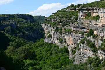 Obraz premium Minerve, cité historique, haut-lieu cathare d'Occitane en Languedoc-Roussillon : village, ruelles, remparts, canyon, colombe