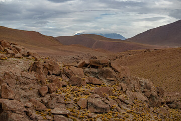Desert
Chile
El tatio
Gaizer
Water
Agua
Vapor
Atacama
Calama