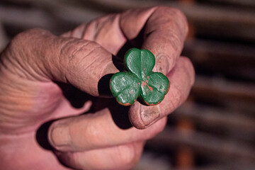 Irish lucky green shamrock in a old grungy hand. Symbol of luck and fortune.