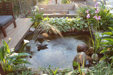 Morning sun in small backyard pond. Artificial pond in garden. Pool aquatic plants. Pond border decoration. Summer