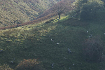 Brecon Beacon National Park, Wales, UK