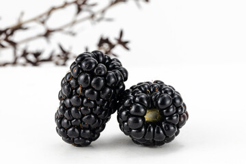 Blackberry isolated in white background, studio lighting, macro detailing, negative space for copy