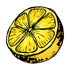 Vector lemon clipart. Hand drawn citrus icon. Fruit illustration. For print, web, design, decor, logo.