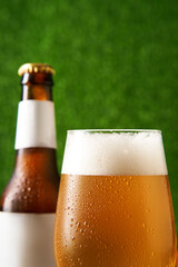 Bottle and glass of beer on the green grass background.