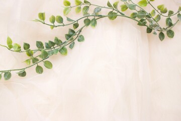 チュールと蔦植物の背景