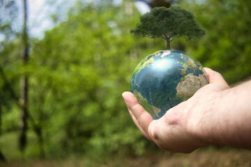 Planet - Erde - Natur  - Baum - Earth - Ecology - Lensball - Bioeconomy - High quality photo - A...