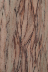 Close up of stone slab shows beautiful natural mineral pattern that perhaps flowed in Paleolithic period, resulted in stunning graphic in various forms under the crust. Unique in characters are formed