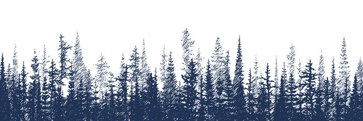Vector sketch, banner. Forest, imitation of a pencil drawing.  © Valerii