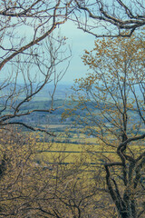 British nature