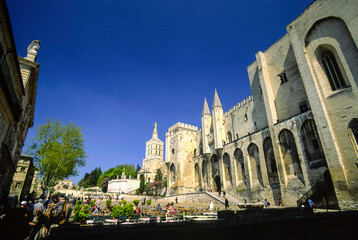 Palacio Papal (Palais des Papes). Aviñon.Vaucluse.Provenza.Francia.