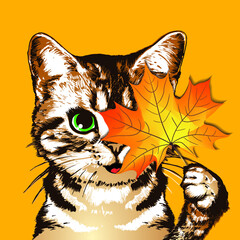 Kitten with maple leaf on orange background. Autumn vector illustration.