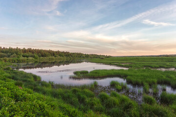 Beautiful swamp lakes, swamp moss and grass 