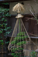 植木に雪囲いをつけて雪から守る