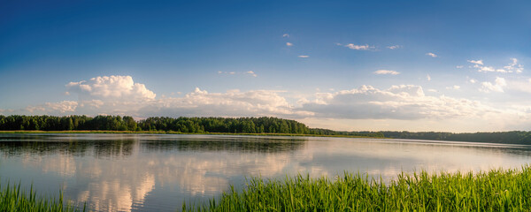 Panoramic view of lake coast on sunset in summer