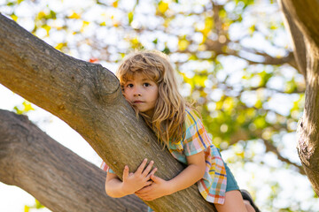 Little child boy trying to climb a tree. Kids climbing a tree. Happy boy enjoying summer day in a garden. Kid boy playing and climbing a tree and hanging branch.