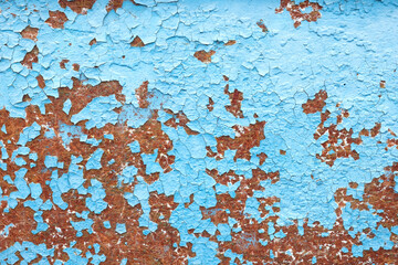 
Peeling blue paint. Old cracked paint pattern on rusty background. Pattern of grunge material. Damaged paint. Scratched old plate.