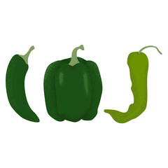 Vector set of peppers illustration. Textured vector illustration of green chili pepper, bell pepper, and jalapeno, isolated on a white background.
