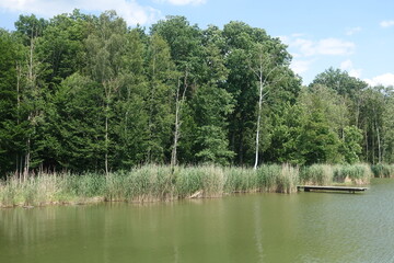 Schöne Landschaft in Bayern/Donau-Ries/Deutschland