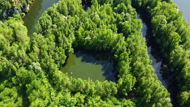 Rivi&egrave;re s'&eacute;talant dans la for&ecirc;t formant de vastes zones humides avec des mar&eacute;cages.