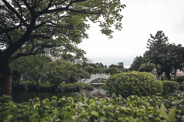 city park with bridge