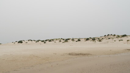 Panorama of sand dunes on the beach near Tel Dor, Israel