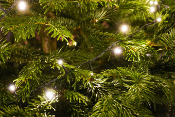 Close up of Christmas lights in a Christmas tree