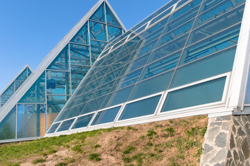 Fototapeta premium greenhouse in the garden