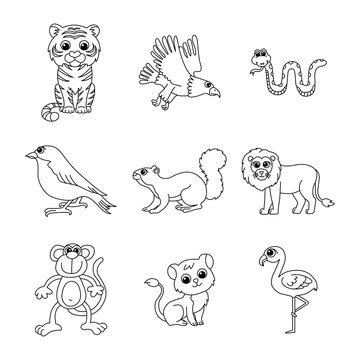 Cute animal set cartoon coloring page illustration vector. For kids coloring book.