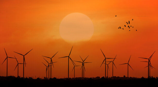 wind turbines plant for electric power production silhouette at sunset ,clean energy concept