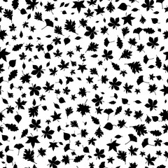 Black and white autumn leaves seamless pattern