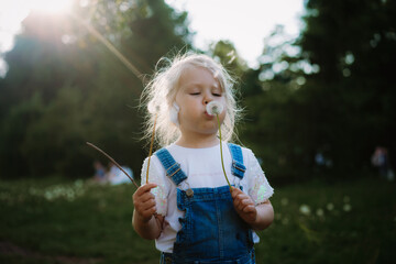 Pretty little girl blowing off dandelion seeds on sunset in summer park. Image with selective focus