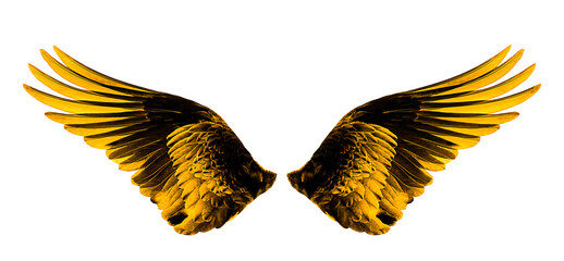 golden color wings on white background,isolated © supasart