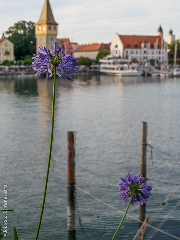 Wall mural Sommerabend in Lindau am Bodensee