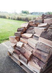 logs for firewood strack, nature truck tree