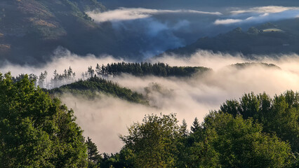 fog in the mountains