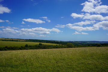 Obraz na płótnie Canvas View of a grass field and blue sky's with clouds