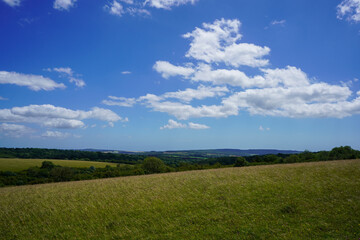 View of a grass field and blue sky's with clouds