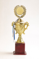 Gold color trophy on white background.